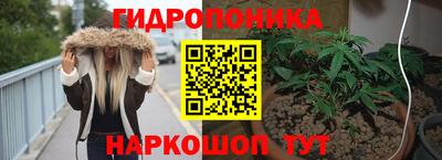 PSILOCYBIN Юрга