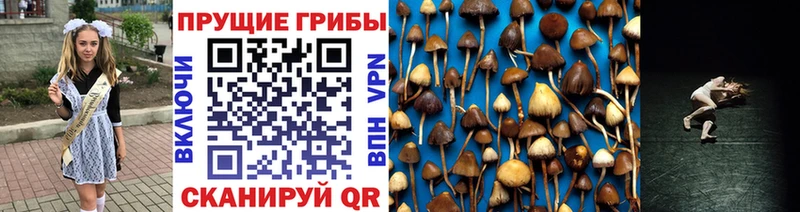 Псилоцибиновые грибы мухоморы  наркотики  hydra ссылка  Бердск 
