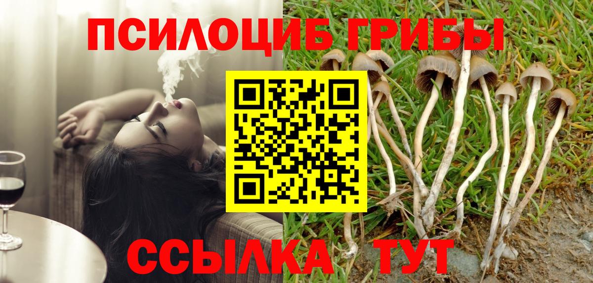 Галлюциногенные грибы MAGIC MUSHROOMS Бердск