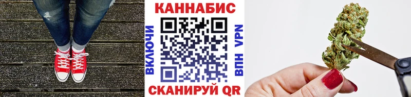Бошки Шишки VHQ Бердск